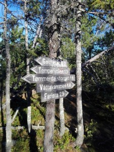 Hiking Trail at Trondheim